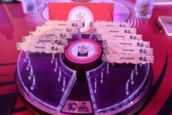 Royal Challengers Bangalore Players Full List, WPL Auction 2024: Here's the Updated RCB Squad