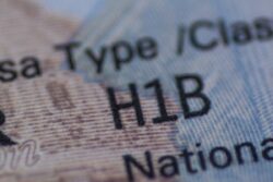 US H-1B Visas Yearly Limit for 2024 Exhausted, USCIS Says. What Should You Do Now?