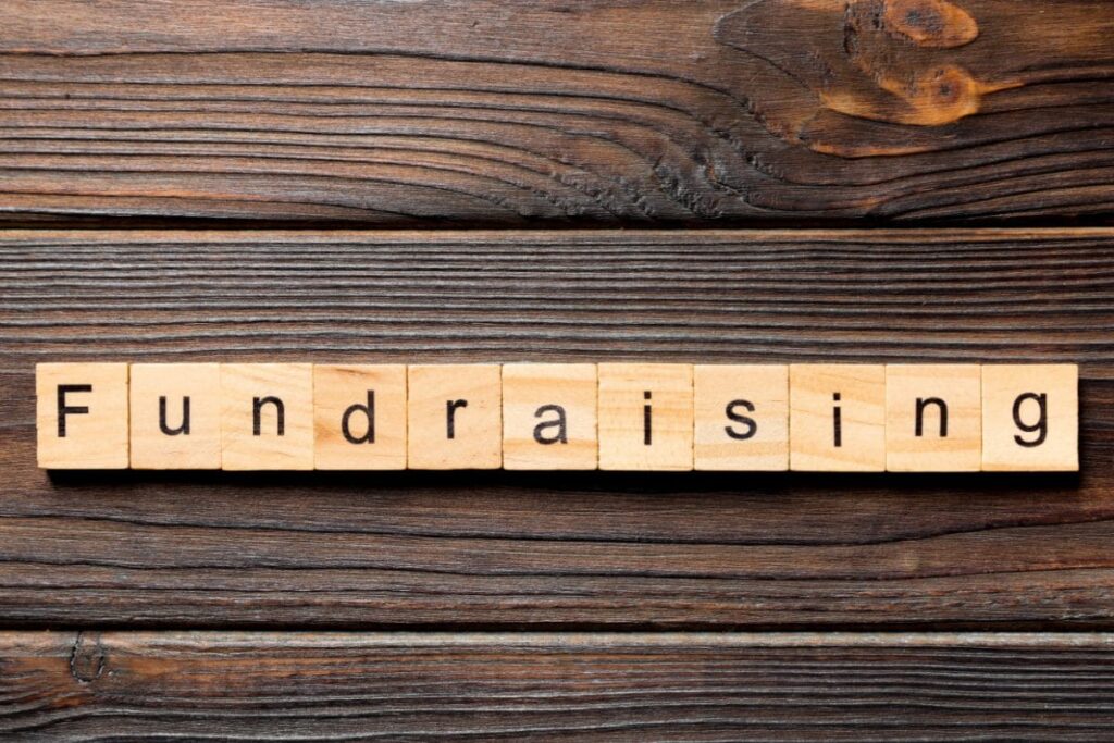 Empowering Compassion: The Role of Social Media in Driving Crowdfunding Success