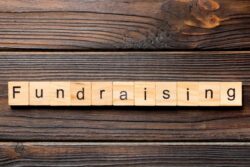 Empowering Compassion: The Role of Social Media in Driving Crowdfunding Success