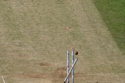 5 Bizarre Rules, Laws of Cricket That Defy Logic