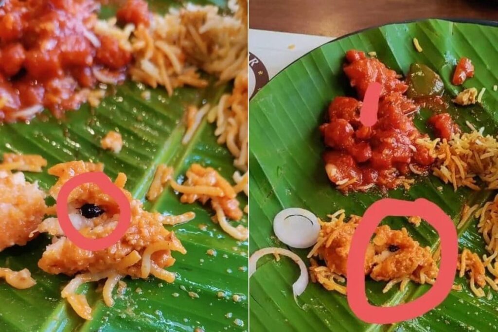 Bengaluru Resident Discovers Cockroach in Restaurant's Chicken Dish, Turns to Reddit for Help