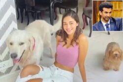 Aditya Roy Kapur Fails to Recognise Ananya Panday's Dogs on 'KWK', Internet Raises a Red Flag