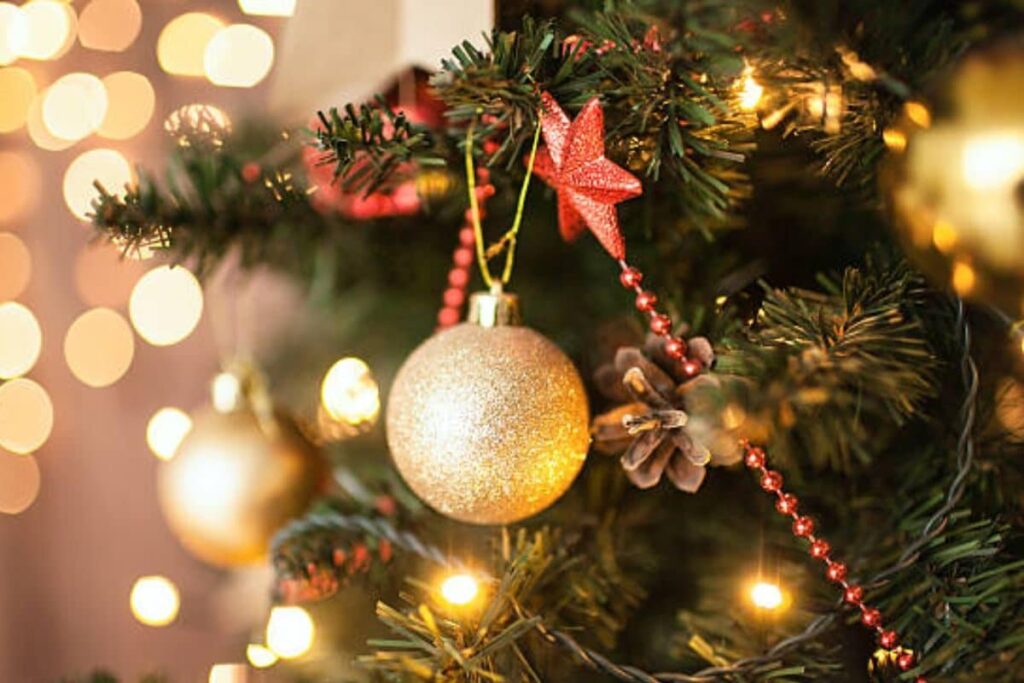 Udaipur Hotel Claims to Have Built Tallest Christmas Tree to Celebrate Their 120th Anniversary