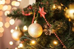 Udaipur Hotel Claims to Have Built Tallest Christmas Tree to Celebrate Their 120th Anniversary