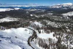 'Holy F***': WATCH Skier's Heart-Stopping Encounter with Bear at US Lake Resort