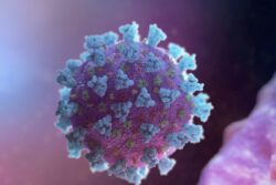 JN.1 Covid Variant On Surge: All You Need To Know About The New Coronavirus Strain