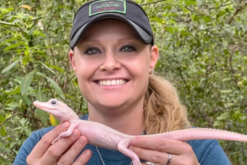 'Beyond Rare' White Alligator Born At Florida Wildlife Park; Pics