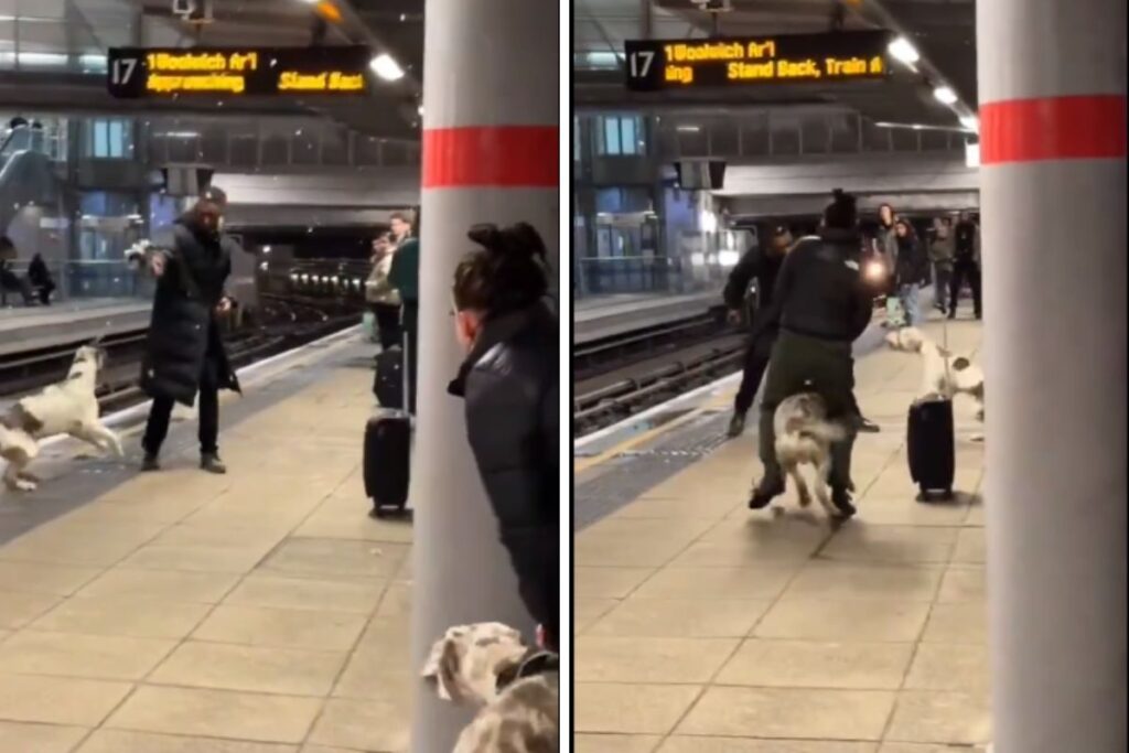 Chilling Video Shows ‘Out Of Control’ Dog Attacking Man On Railway Platform