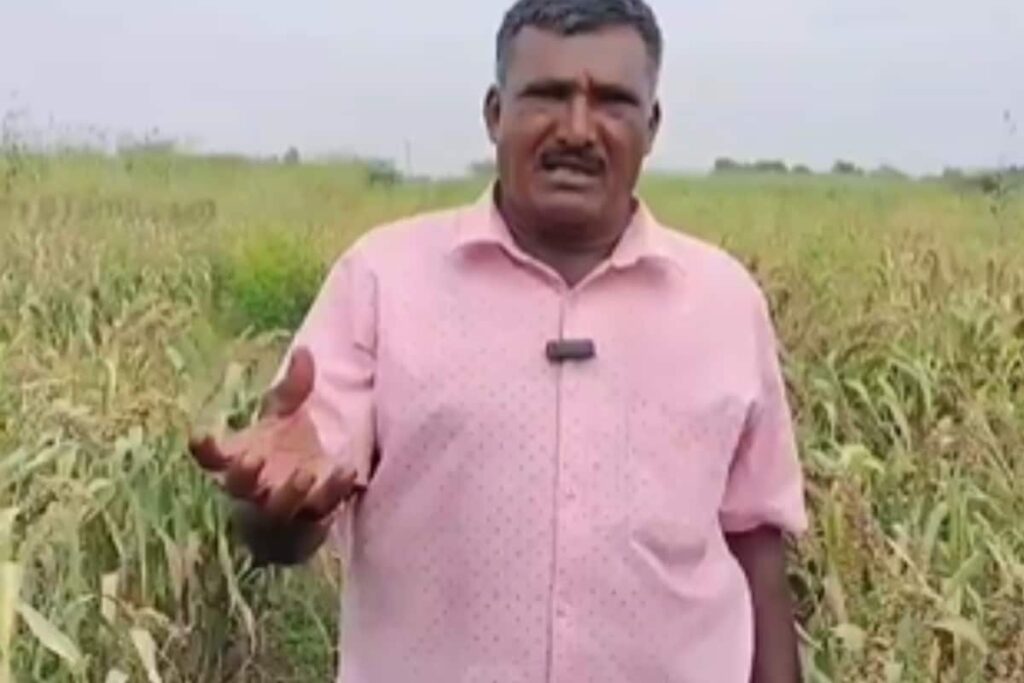 How This Virudhunagar Farmer Is Earning Lakhs With Horsetail Plant Cultivation