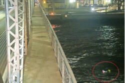 US Firefighter Rescues Drowning Pit Bull And Now He Is Internet's 'Hero'