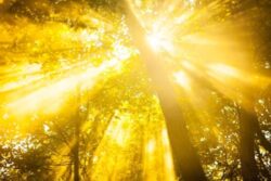 Why The Colour Of Sunlight Is White