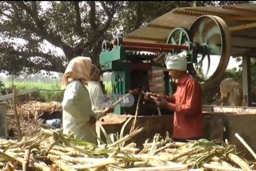 This AP Village Sources Jaggery For Tirumala Tirupati Devasthanams’ Prasadam