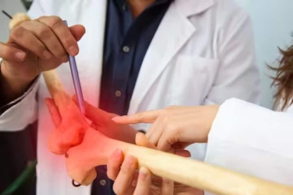 What Are Bones Made Up Of? Internet Users Answer