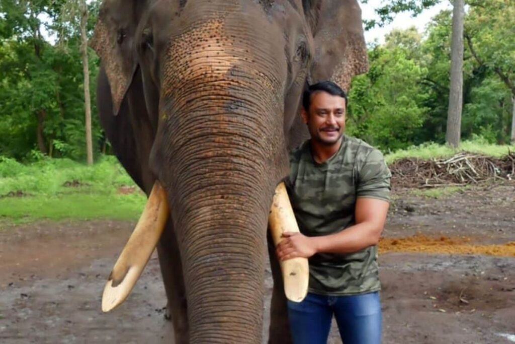 Kannada Actor Darshan's Heartwarming Post After Elephant Arjuna Dies During Fight With Wild Animal