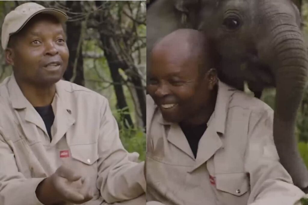 The Heartwarming Bond Between Baby Elephant And Its Caretaker Is Pure Love