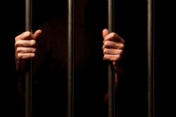 Kashmiri Students Arrested For Celebrating India's Cricket World Cup Defeat Get Bail