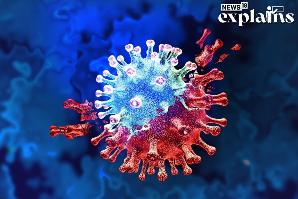 Which Countries are Reporting Covid Variant JN.1? Explained Amid First Case in Kerala