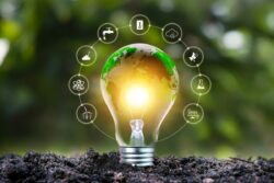 Why is National Energy Conservation Day Celebrated on December 14? History, Significance, and Quotes