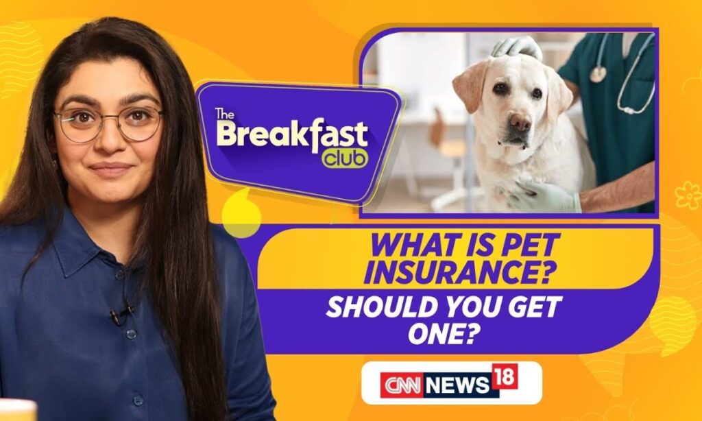 Curious About Pet Insurance? Wondering If It Covers All Pets And Vaccination Charges? | News18