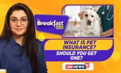 Curious About Pet Insurance? Wondering If It Covers All Pets And Vaccination Charges? | News18