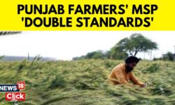 Reaping Benefits of Highest MSP And Procurement, Punjab Farmers Still Protesting | News18 | N18V