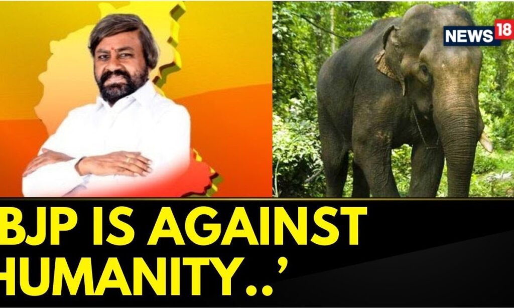 Karnataka : "BJP Is Against humanity..." Says Karnataka Forest Minister Eashwar Khandre | News18