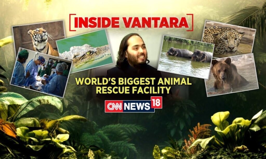 Inside Vantara: World's Biggest Animal Rescue And Rehabilitation Center In Gujarat's Jamnaga |News18