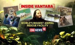 Inside Vantara: World's Biggest Animal Rescue And Rehabilitation Center In Gujarat's Jamnaga |News18