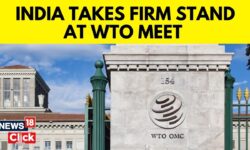 India Raises Voice Against Narrowing Down WTO Meet Focus To Agri-Exporting Nations' Interest | N18V