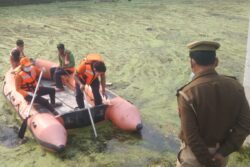 Over 60 Cow Carcasses Floating in UP River Shock Sitapur Residents, Probe Ordered