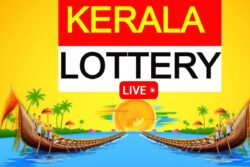 Kerala Lottery Result Today LIVE: Fifty Fifty-FF-85 WINNERS for February 21, 2024; First Prize Rs 1 Crore!