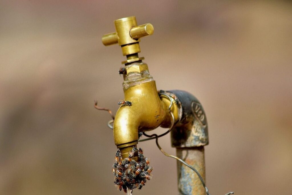 Attention Mumbaikars! Water Supply To Remain Disrupted in Mumbai Today | Check Affected Areas