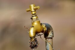 Attention Mumbaikars! Water Supply To Remain Disrupted in Mumbai Today | Check Affected Areas