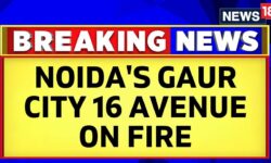 Noida News | Fire At Noida's Gaur City 16 Avenue; Fire Tenders Reach | Noida Fire News | Gaur City