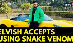 YouTuber Elvish Yadav Has Accepted Of Using Snake Venom In The Parties | English News | News18