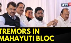 Lok Sabha Elections | More Tremors In NDA camp In Maharashtra | Maharashtra News | English News