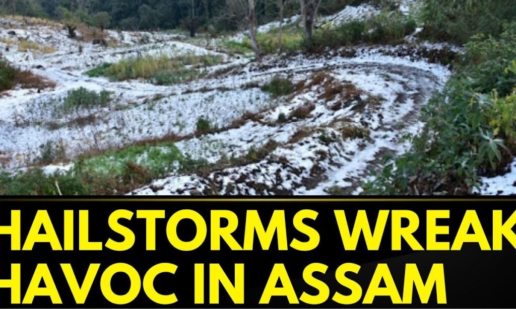 Hailstorm In Manipur | Heavy Rains Lash Assam And Manipur As Many Houses, Crops Damaged | News18