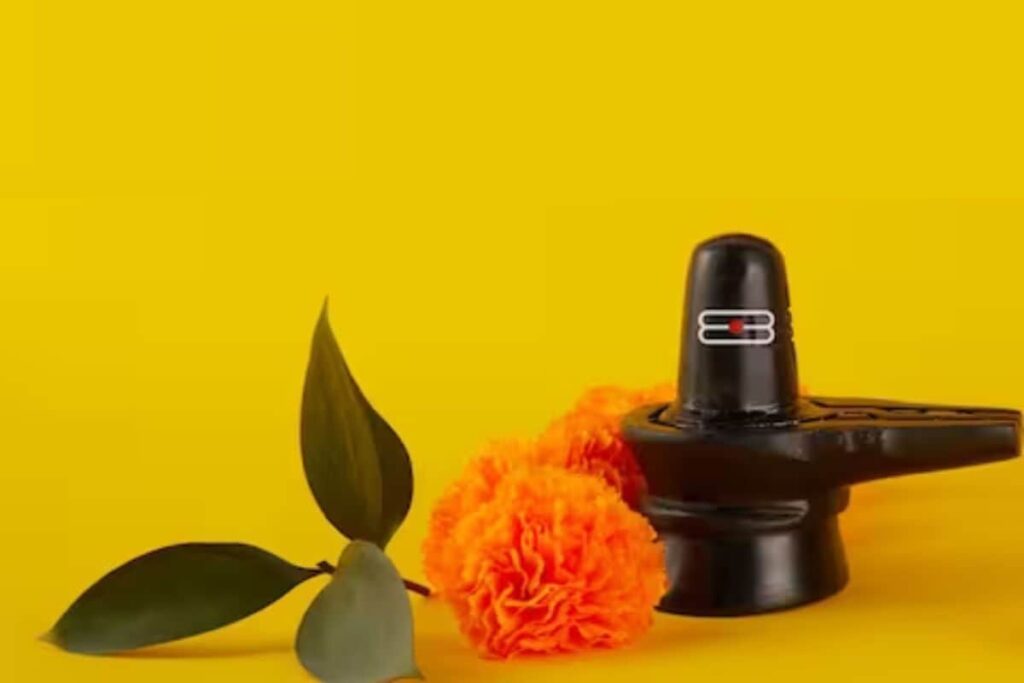 Karnataka Govt Orders Special Abhisheka and Homa at Temples Ahead of Shivratri