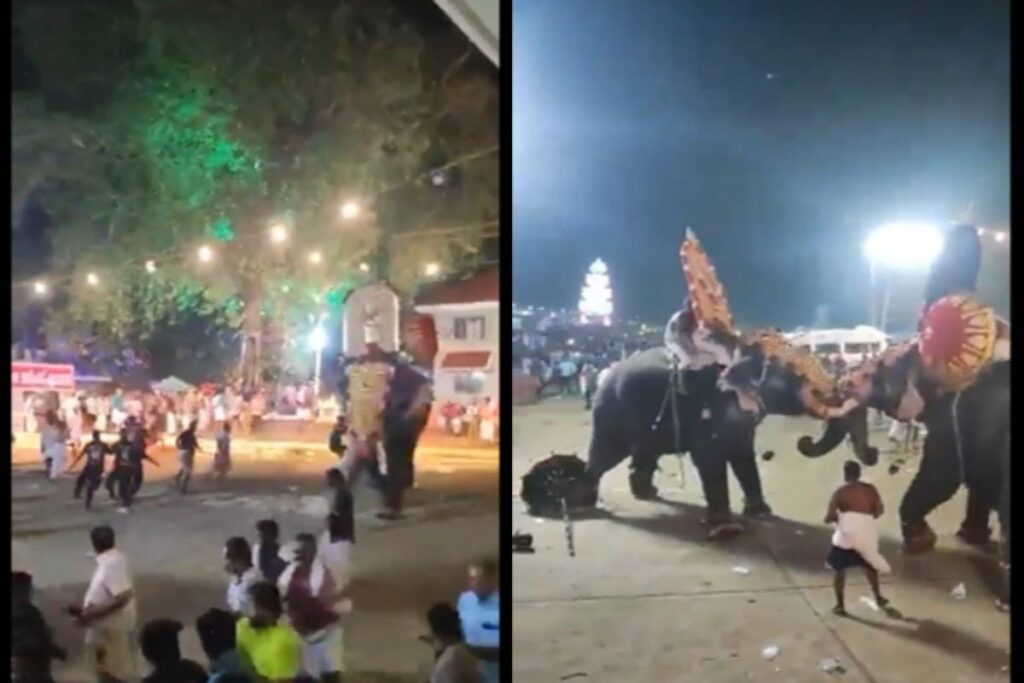 On Cam, Bejewelled Kerala Elephant Ran Amok on Seeing Fellow Tusker | This Happened Next
