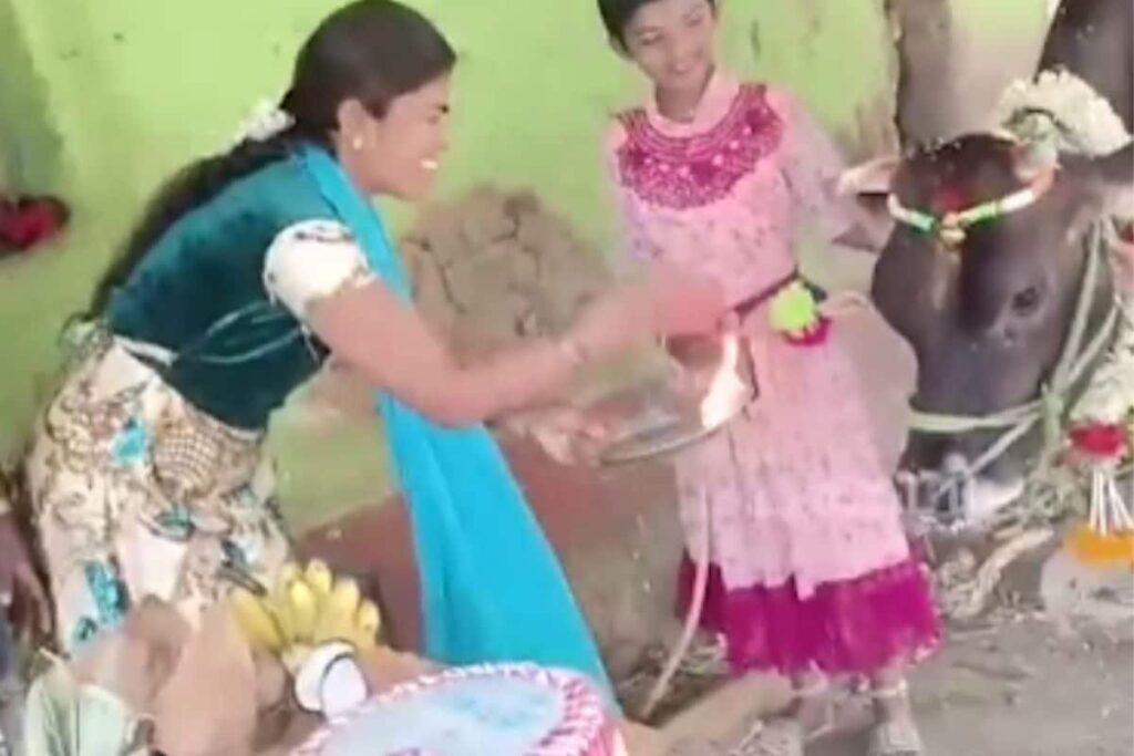 Karnataka Woman Hosts Grand Baby Shower For Her 18-month-old Cow