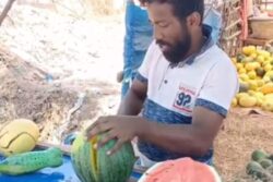 With Summer Approaching, Yellow Watermelon Sales Surge In Tamil Nadu's Theni
