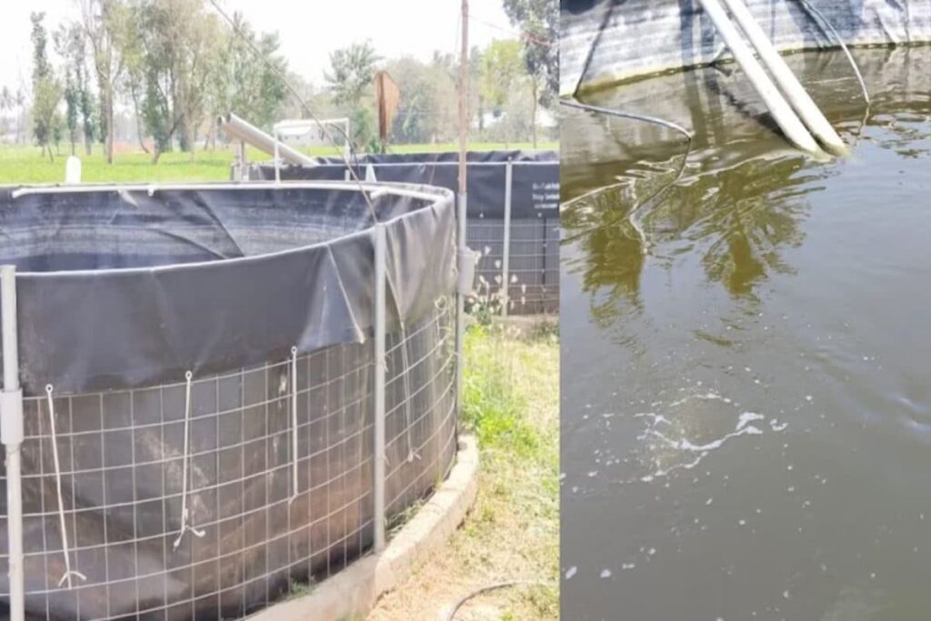 How Tamil Nadu Farmers Make Profits Using Government-backed Bio Fish Tanks