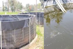 How Tamil Nadu Farmers Make Profits Using Government-backed Bio Fish Tanks