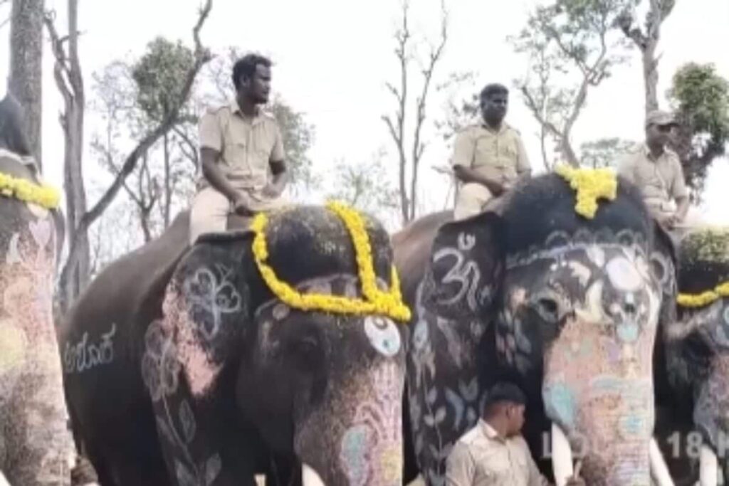 Mathigodu Elephant Camp In Karnataka’s Kodagu District Decalred A Tourist Spot