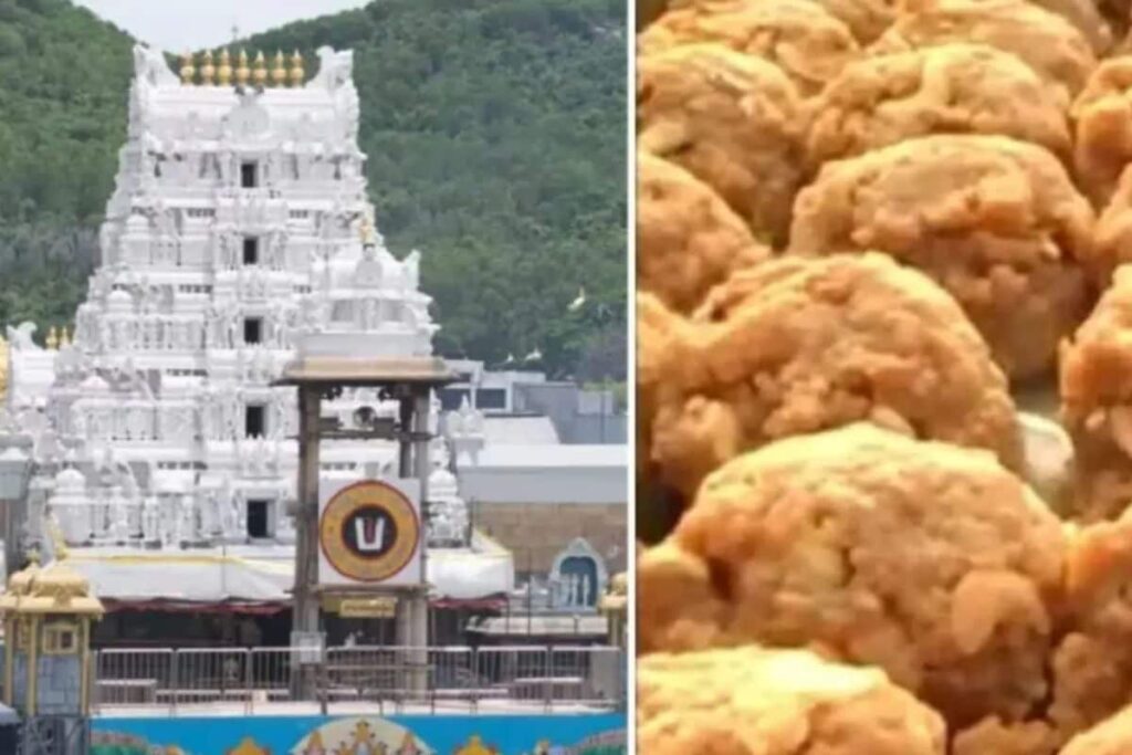 All About The Famous Laadus Prasadam At Tirumala's Sri Venkateswara Swamy Temple
