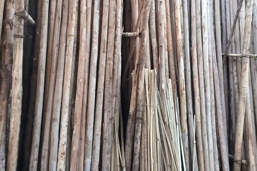 In Andhra Pradesh, Entrepreneur Makes Lakhs In A Year Through Nilgiri Bamboo Business