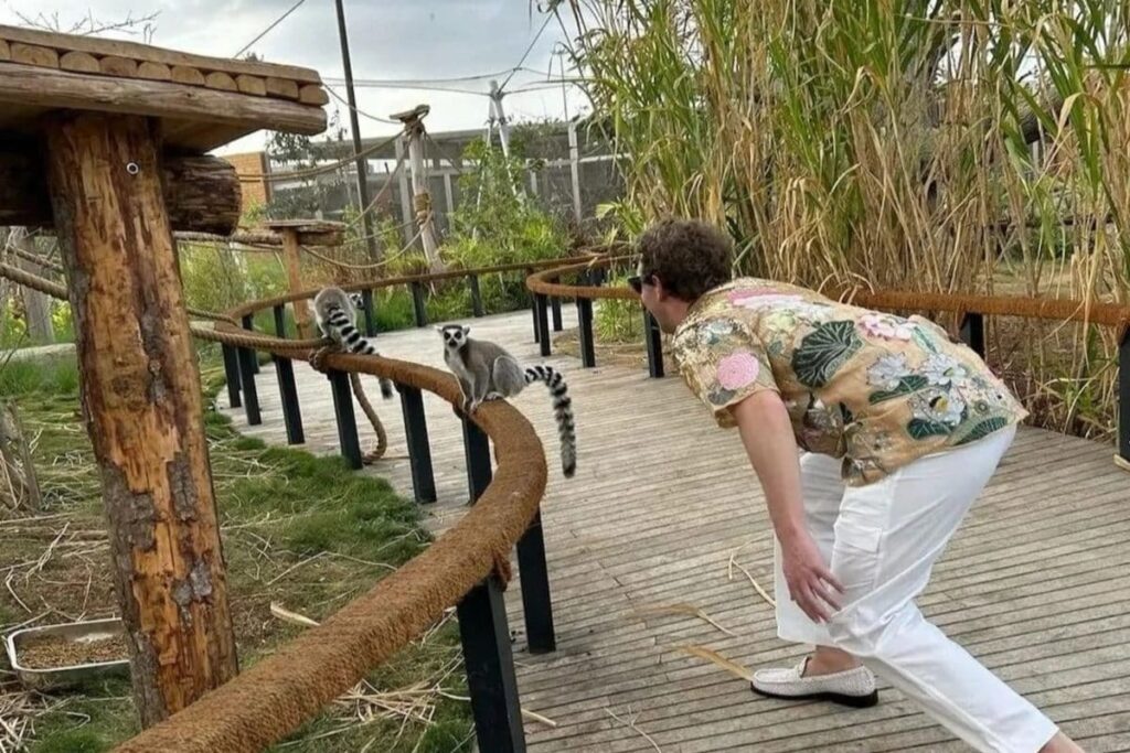 Zuckerberg in Nature: See in Pics Meta Boss Reveal His 'Wild' Side at Vantara