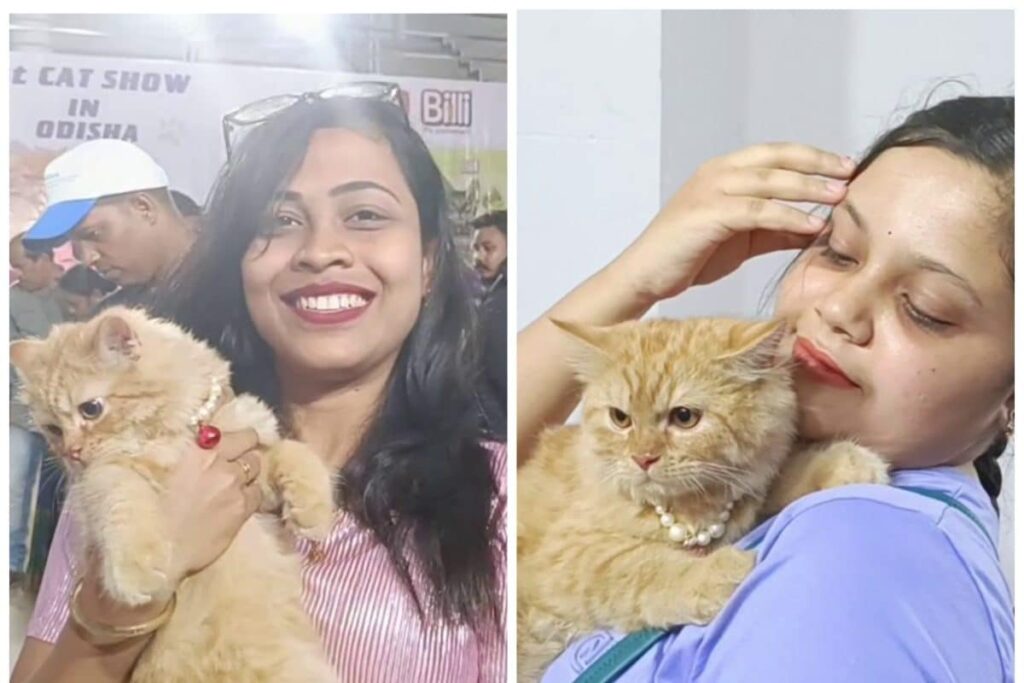 Odisha: Behrampur’s First Feline Show Spotlights Zimba Cat Valued at Rs 1.5 Lakh