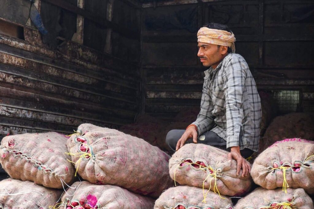 Govt to Begin Procurement of 5 Lakh Tonnes of Rabi Onion in 2-3 Days to Protect Farmers' Interest